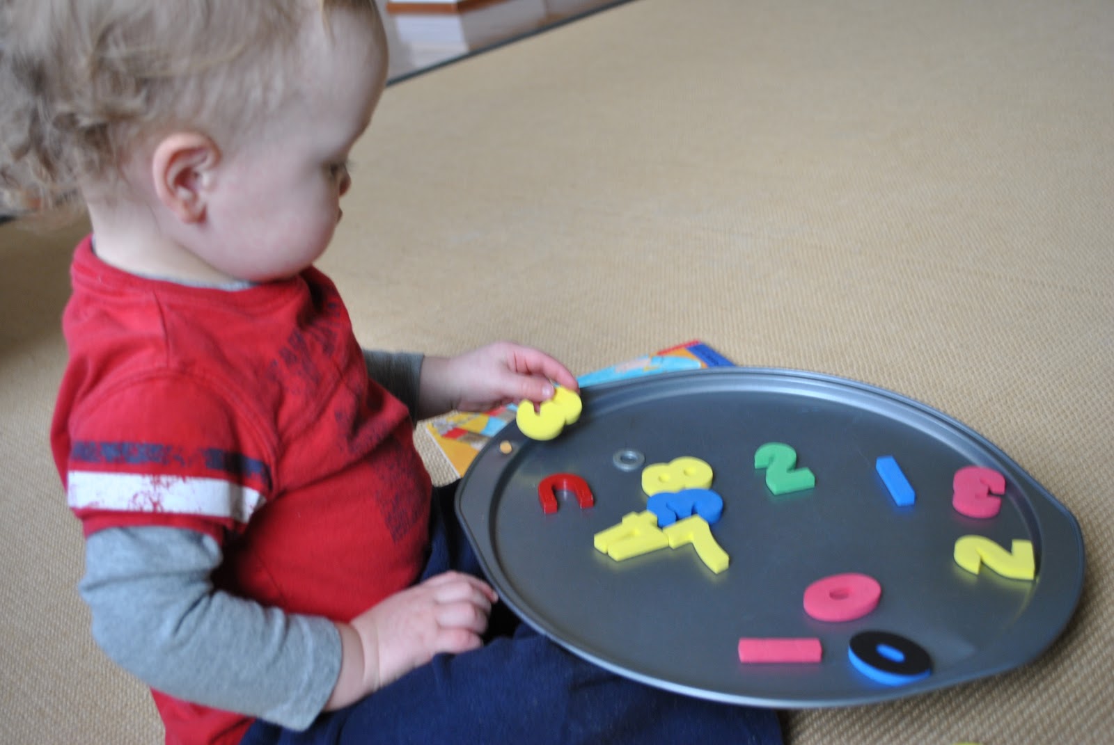 live, laugh, and learn: science kits: magnets