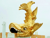 [SHACHIHOKO2.jpg]