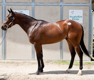 Valid Expectations X ExcellentReview Colt