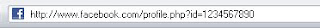 tampilan URL awal