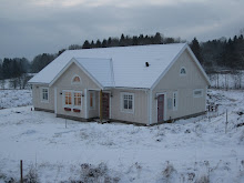Vinterbild på huset