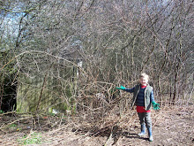 Alfie and the 5th shed