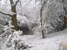 river and snow