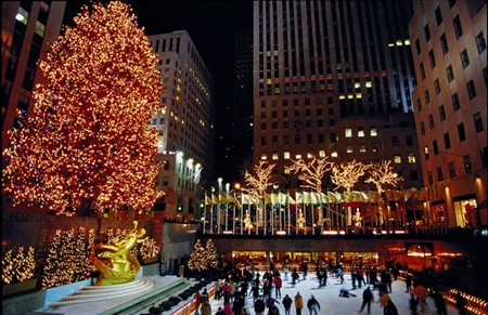 Christmas Trees Christmas Trees