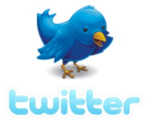 [twitter_bird.jpg]