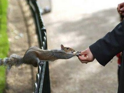 amazing incredible pictures