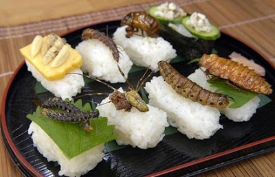 odd food weird food funny food funny pictures japanese culture cuisine