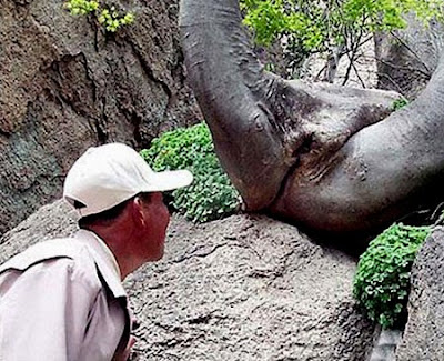 funny pictures amazing pictures sexually explicit nature