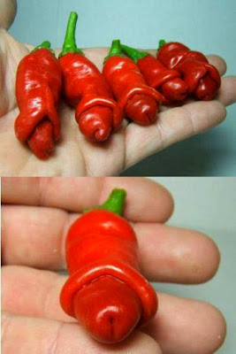 funny pictures amazing pictures sexually explicit nature