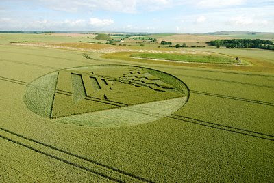 amazing pictures of crop circles