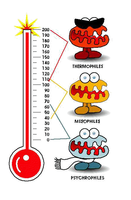 Conflict composting: microbes Conflict composting: microbes