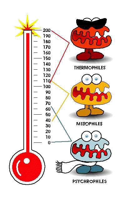 Microbes In Water