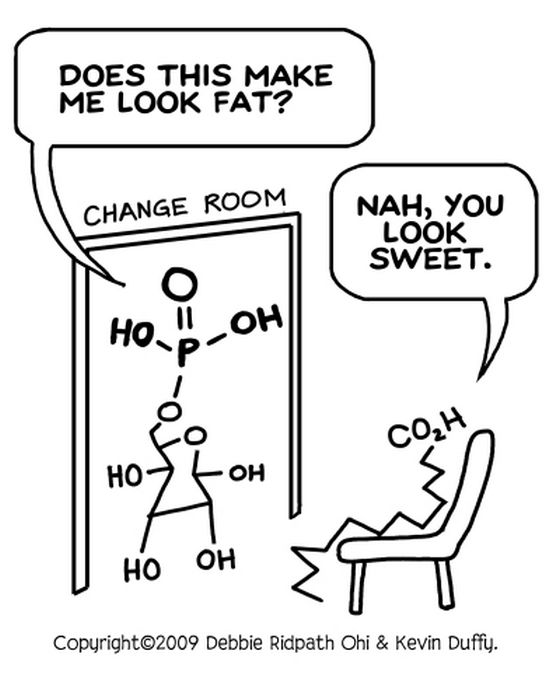 funny-chemistry12.jpg