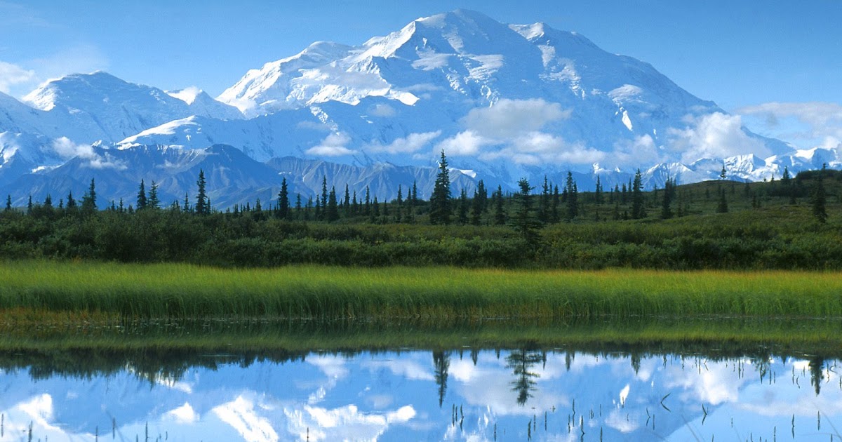 tapety do komputera - Tapety na pulpit, darmowe tapety na pulpit