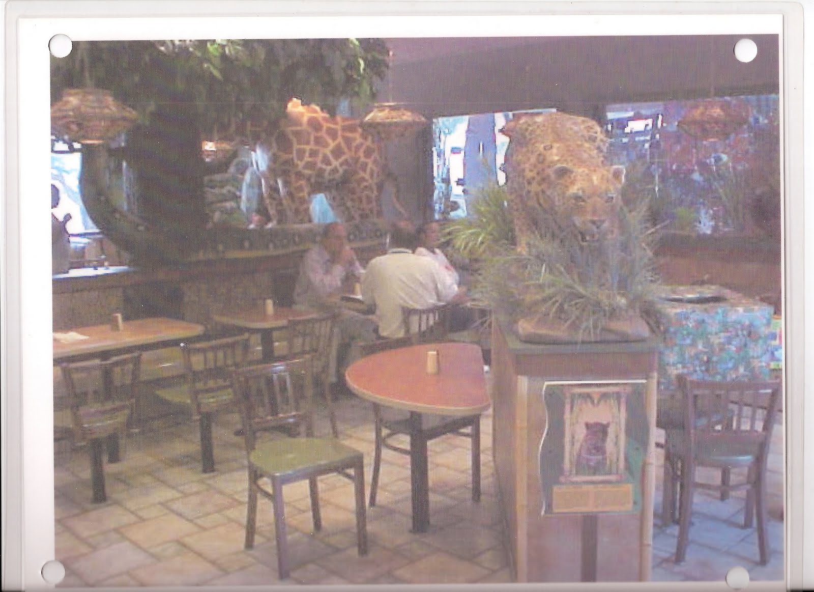 Matthew Drews Design Portfolio McDoanld's Zoo Store Dallas , TX