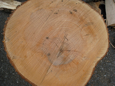 maple firewood