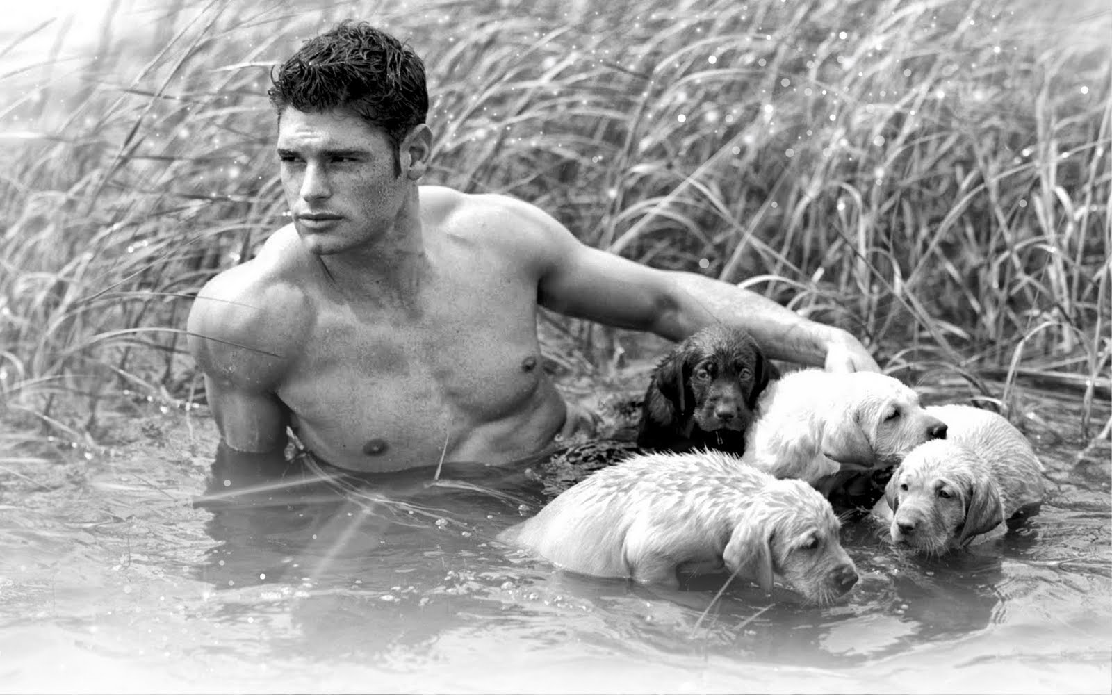 Muscles, shirtless, Teen Muscles, shirtless, Teen