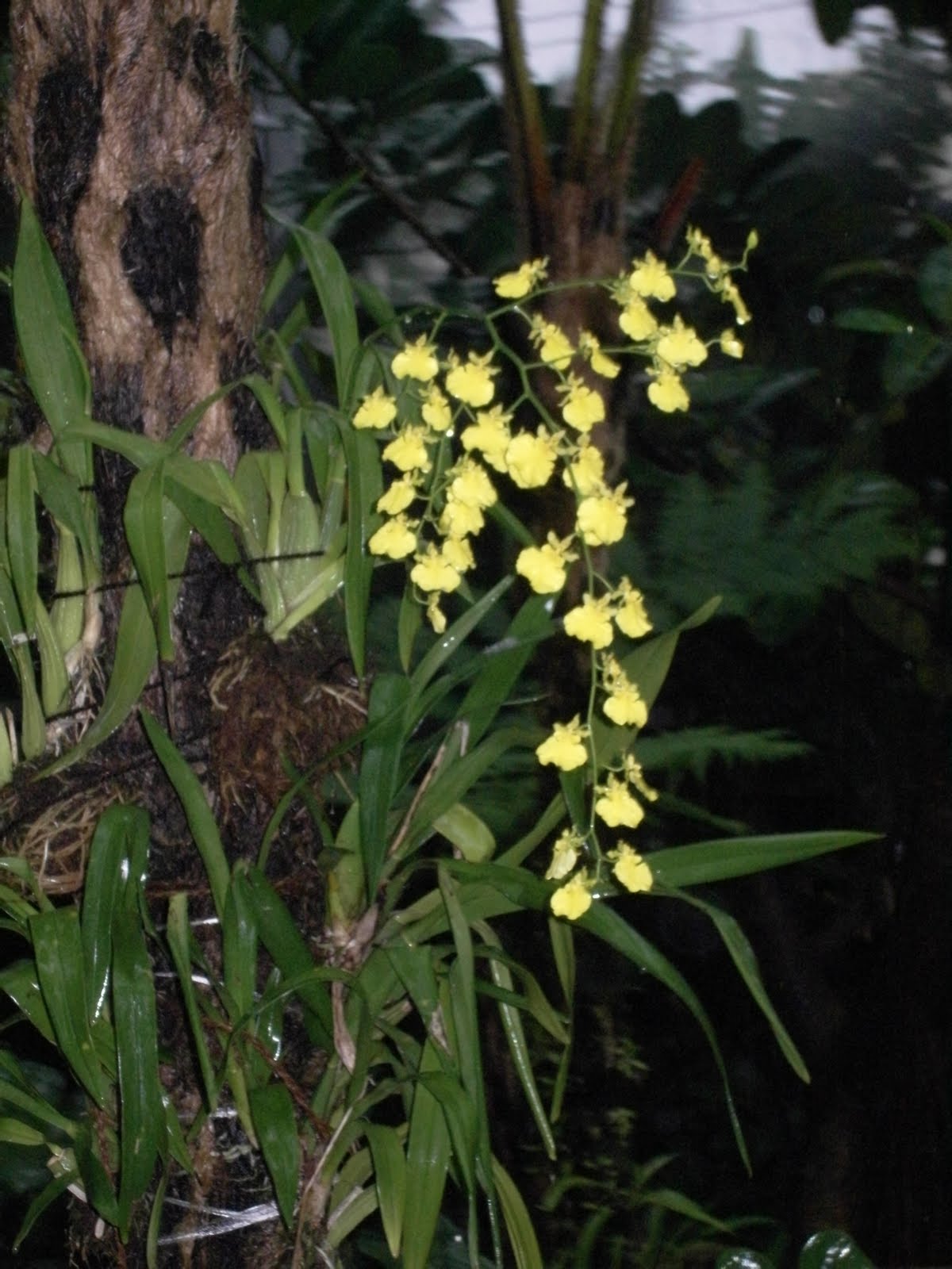[SDC14092.JPG]