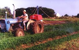 Pulverizadora en campo