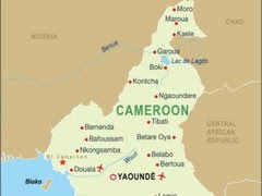 cameroon cameroon