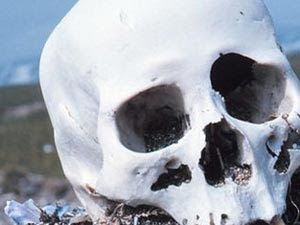 Human_skull human_skull