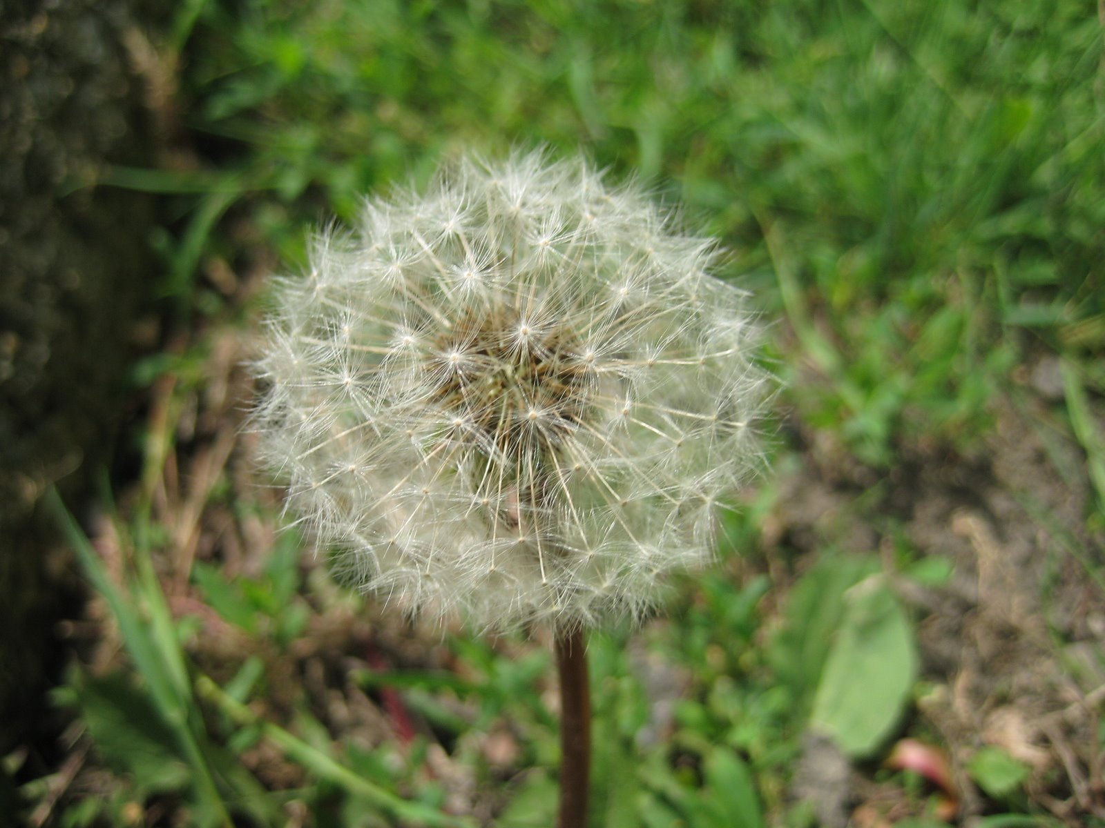 [Spring2008_80.JPG]