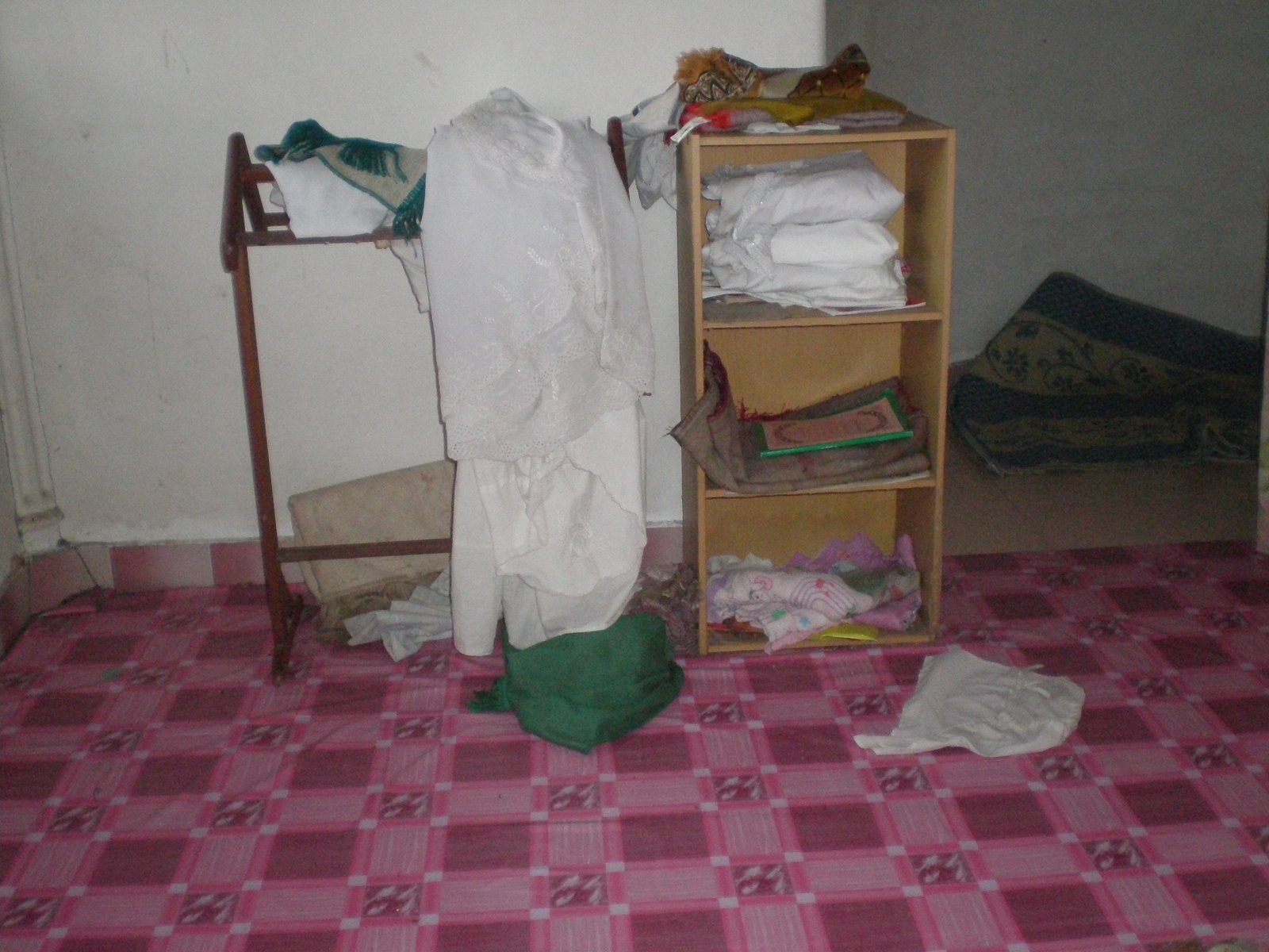 [P3220188.JPG]