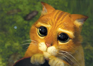 yeux%20chat%20shrek.jpg