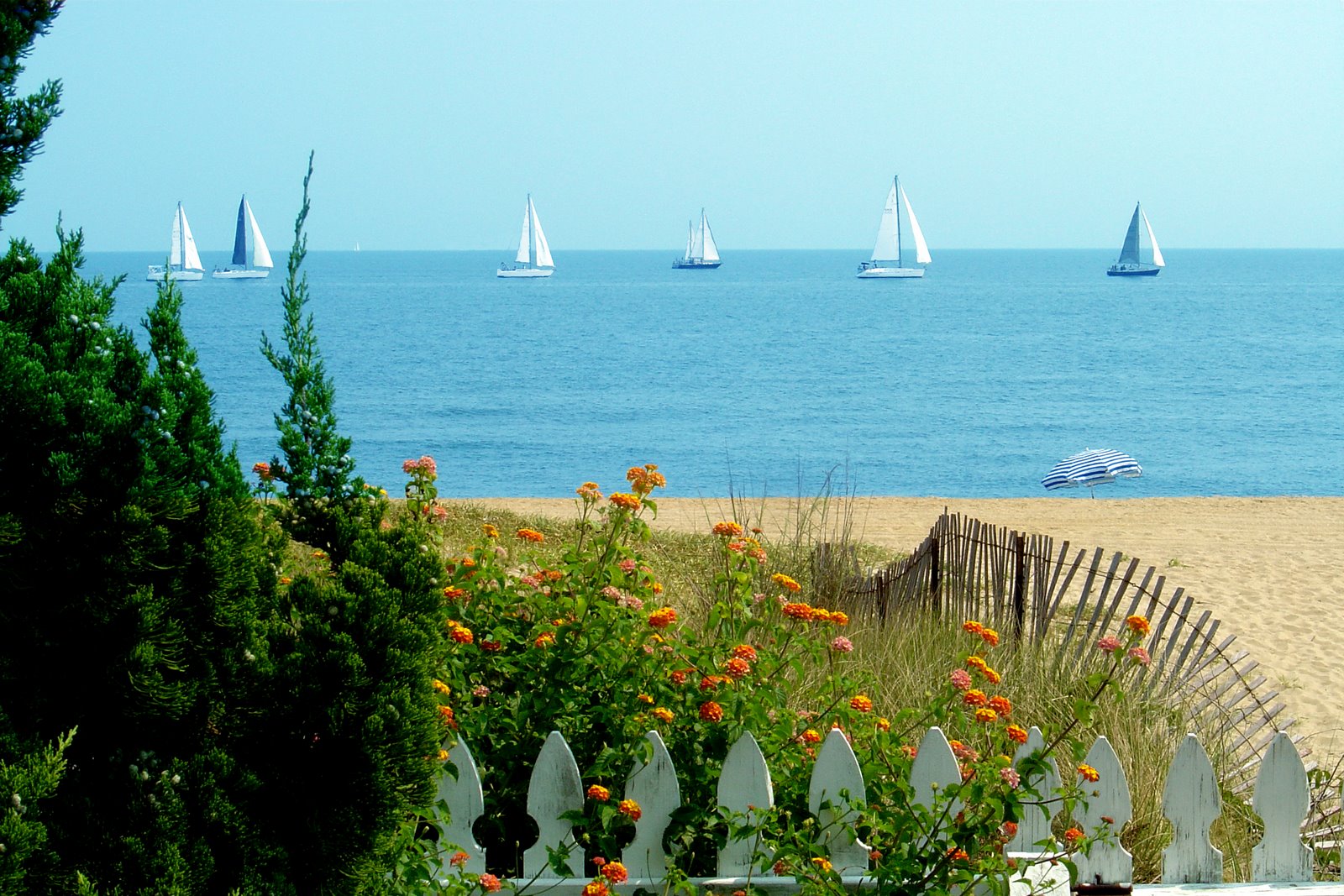 [winter-summer+2007+089+enhanced.jpg]