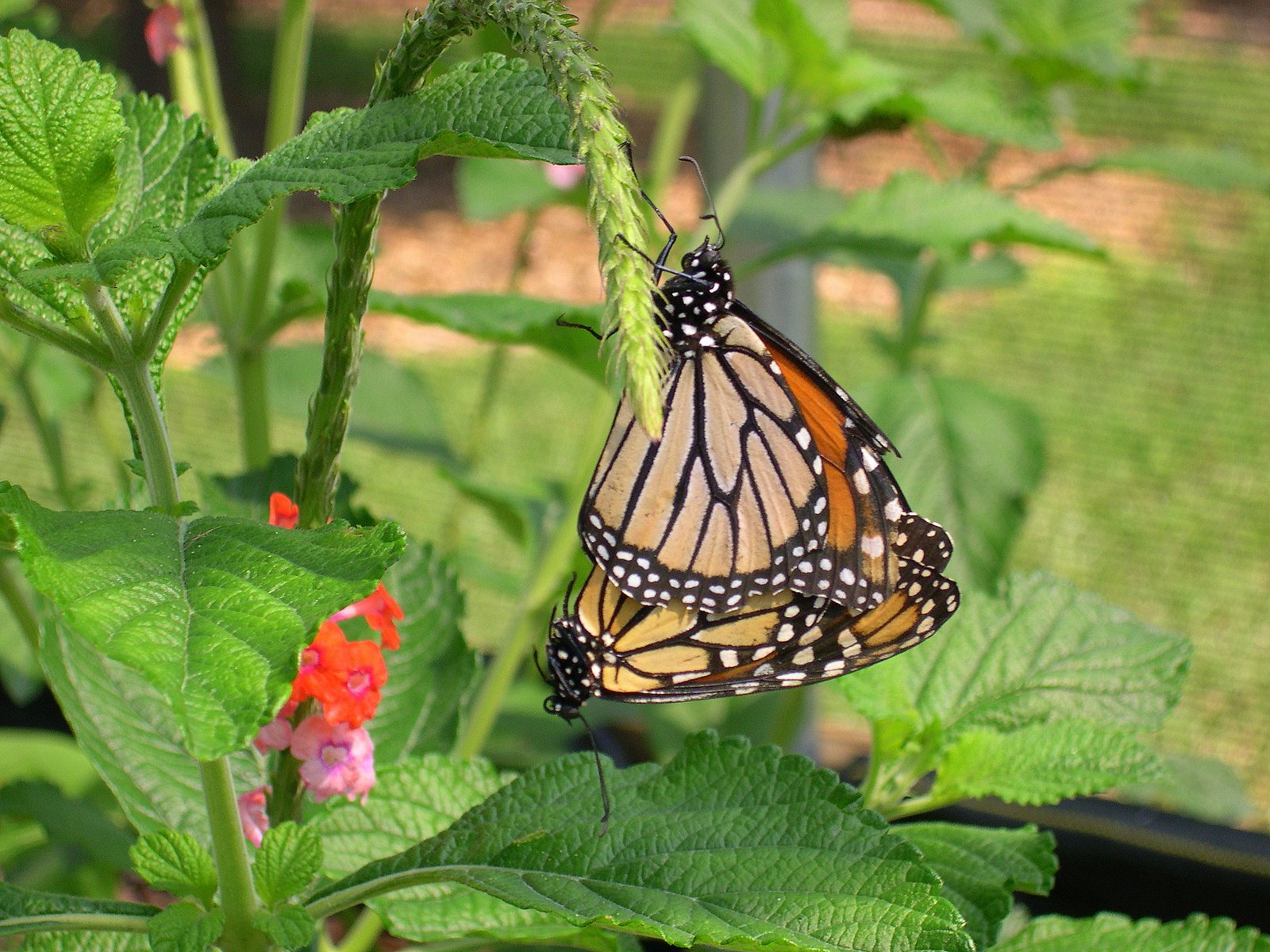 [2009_0713Ashers5thB-day0003.JPG]