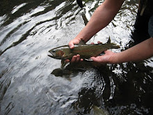 Trout in hand