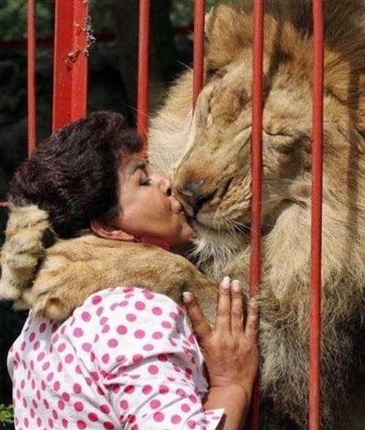 [27_abr_imagens_animais_01.jpg]