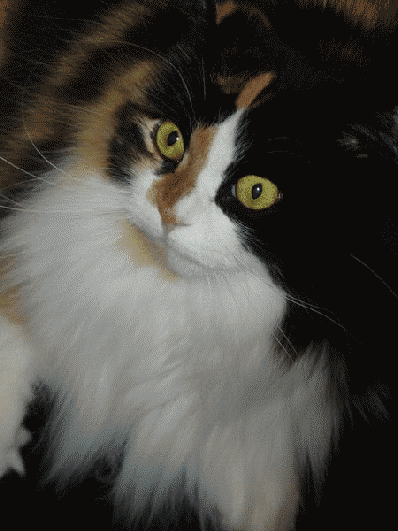 [1282795no7hyk66nj.gif]