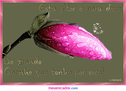 [0001.gif]