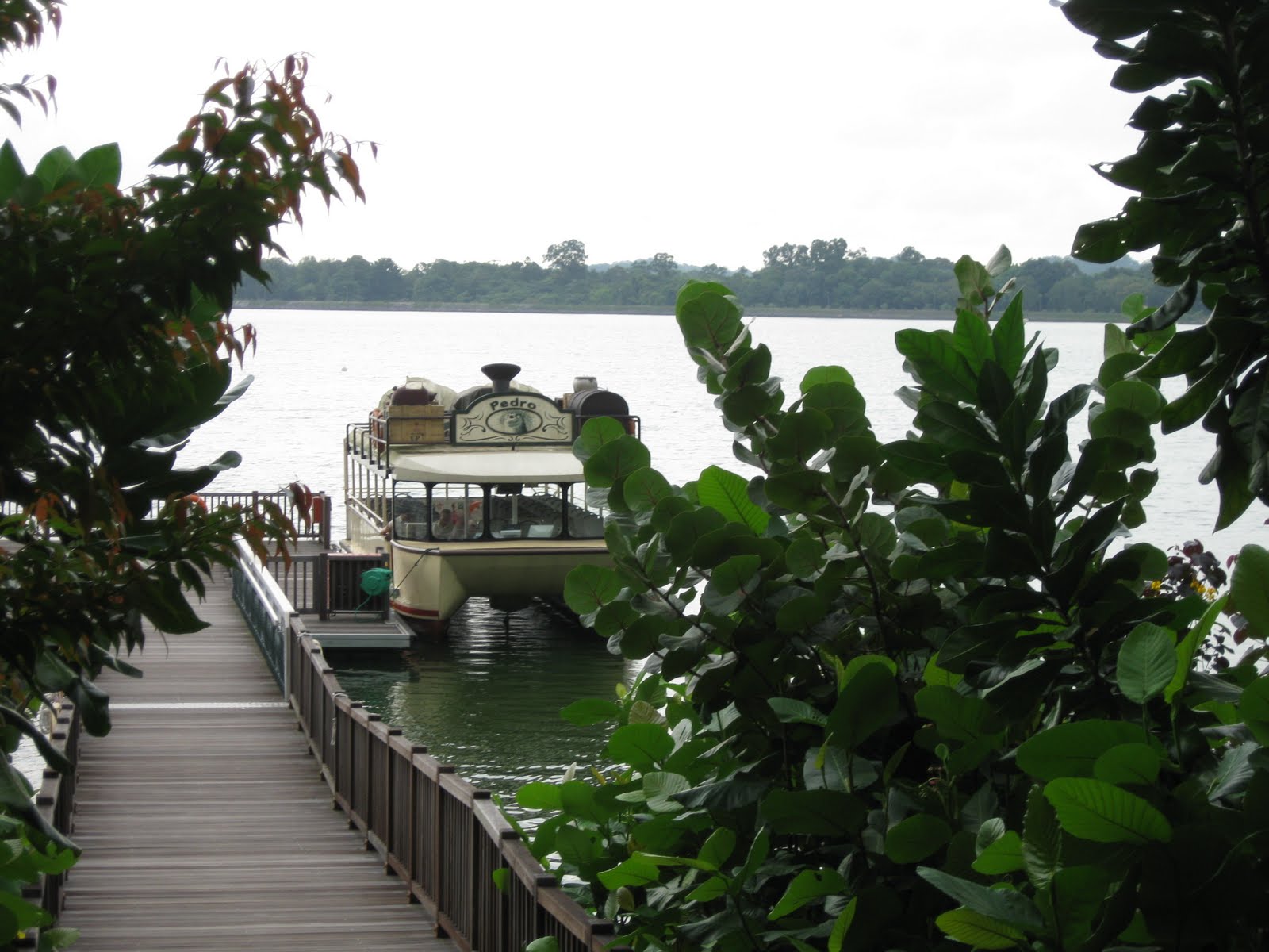 [IMG_3796.JPG]