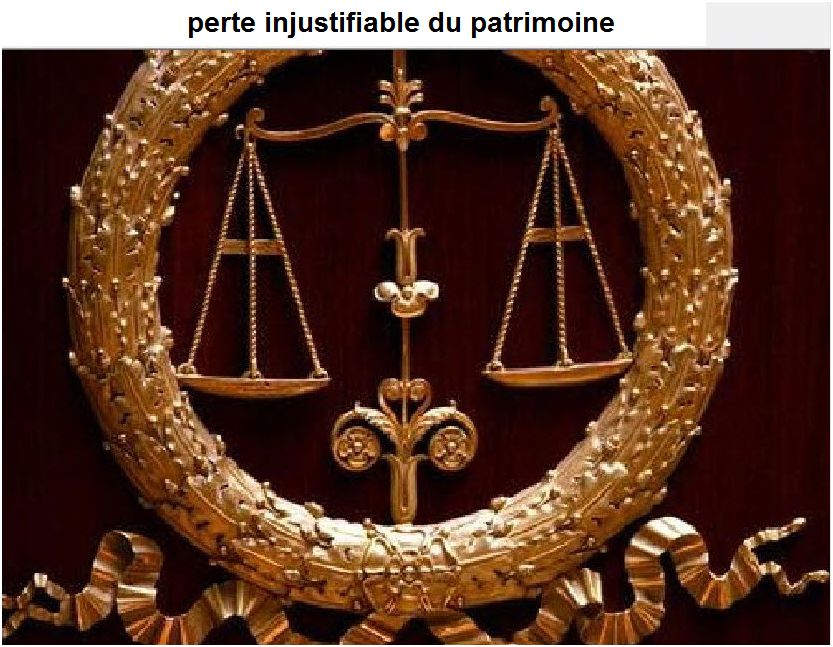 PERTE INJUSTIFIABLE DU PATRIMOINE