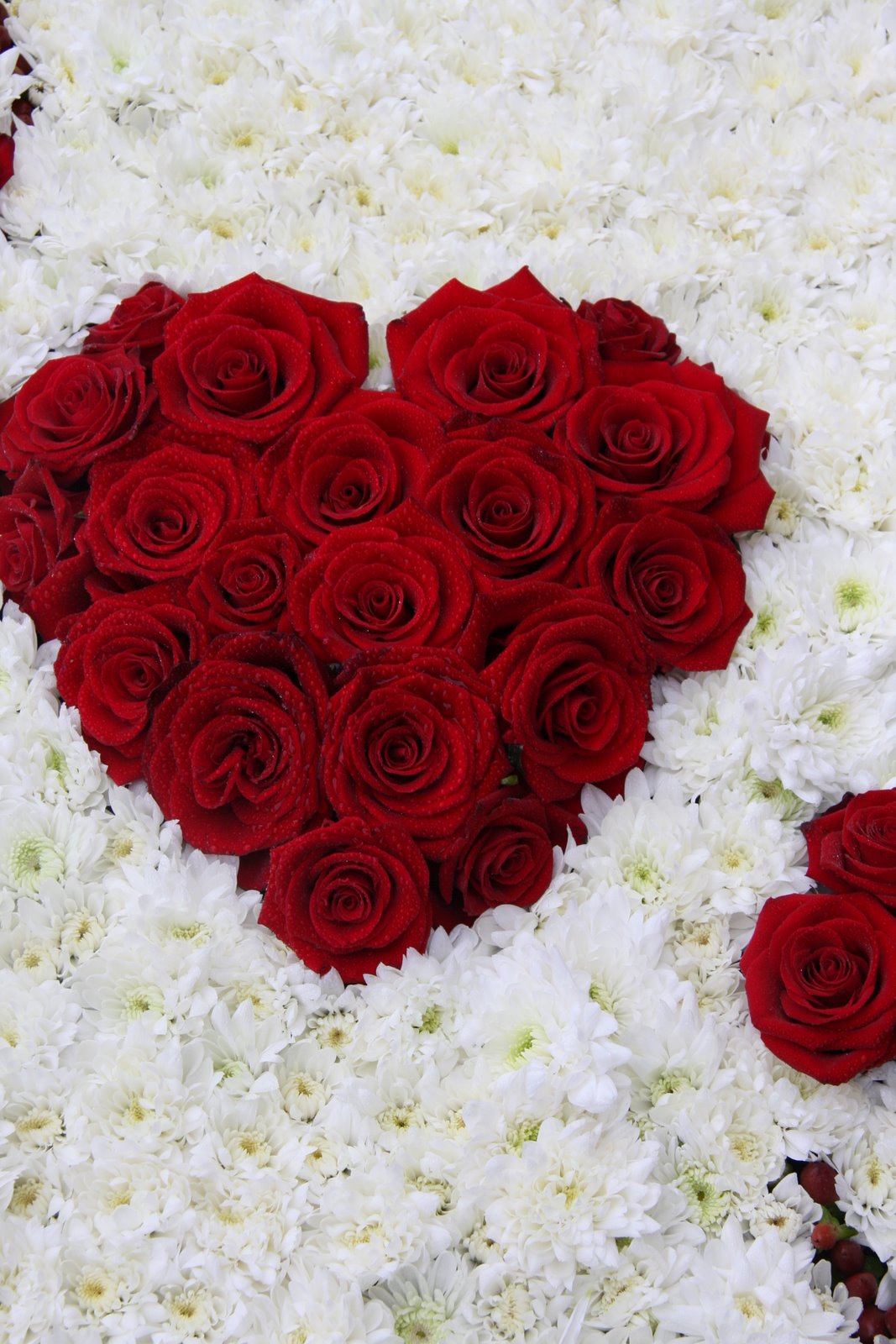 Kathleens Florist, Blackpool Ace of Hearts Funeral Tribute