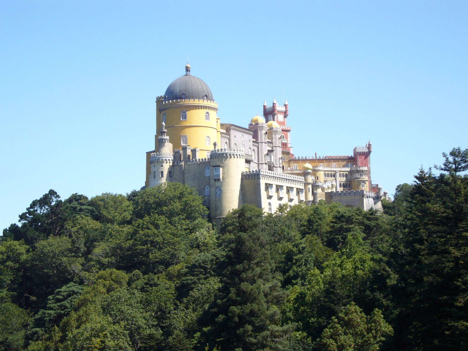 [L1010435.JPG]