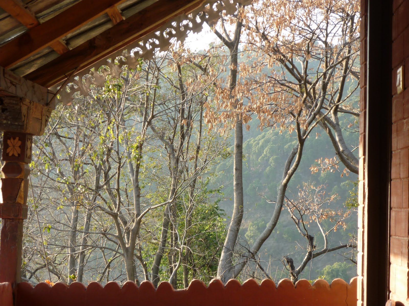 [P1000098.JPG]