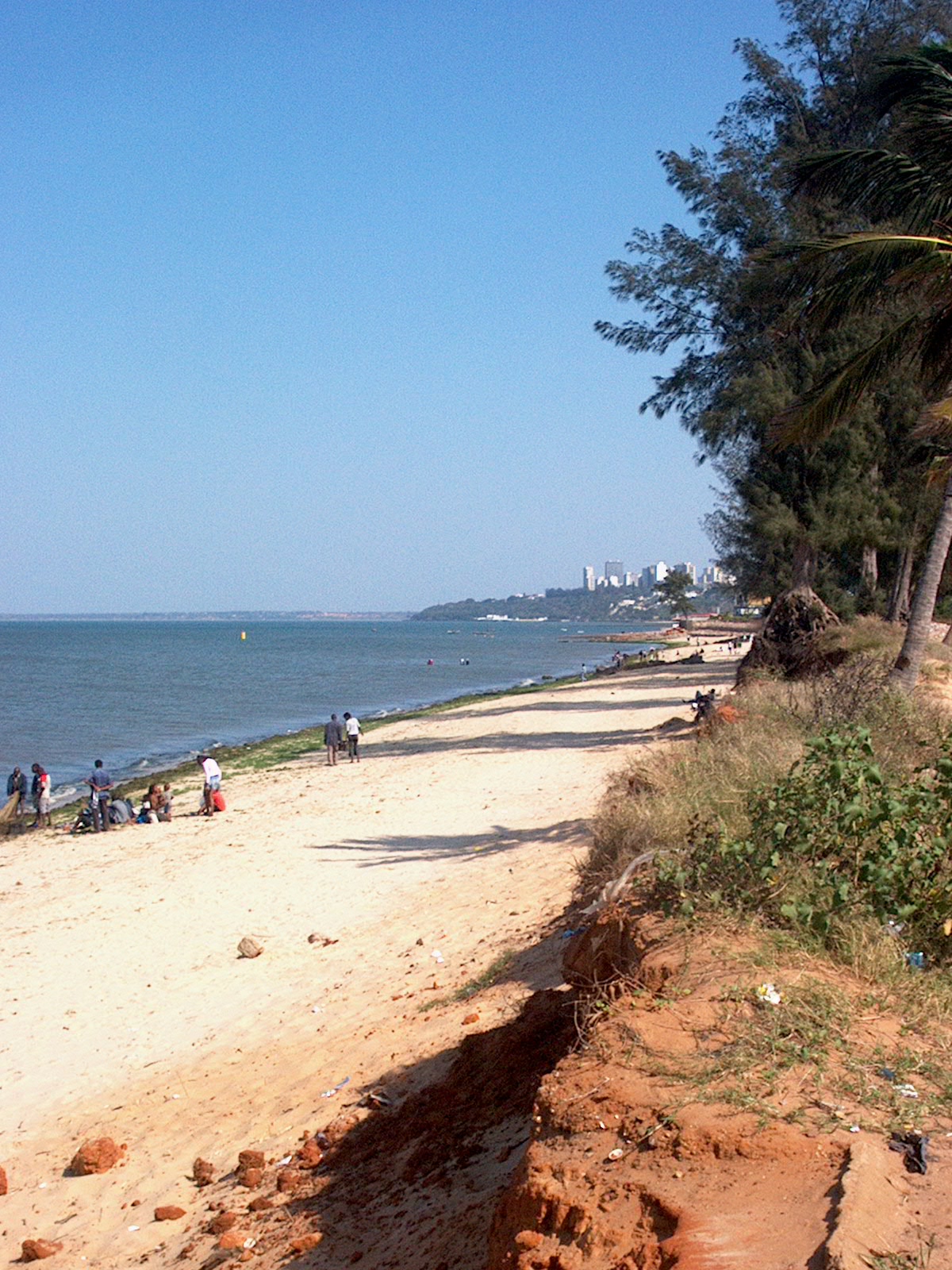 [Imagem+065.jpg]