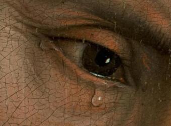 [Detalledescendimiento.jpg]