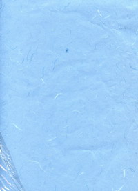 [481+22+31_resize.jpg]