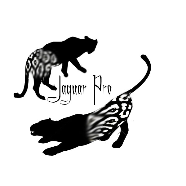 T1-21: Thriller Opening 2010/11: Jaguar logo