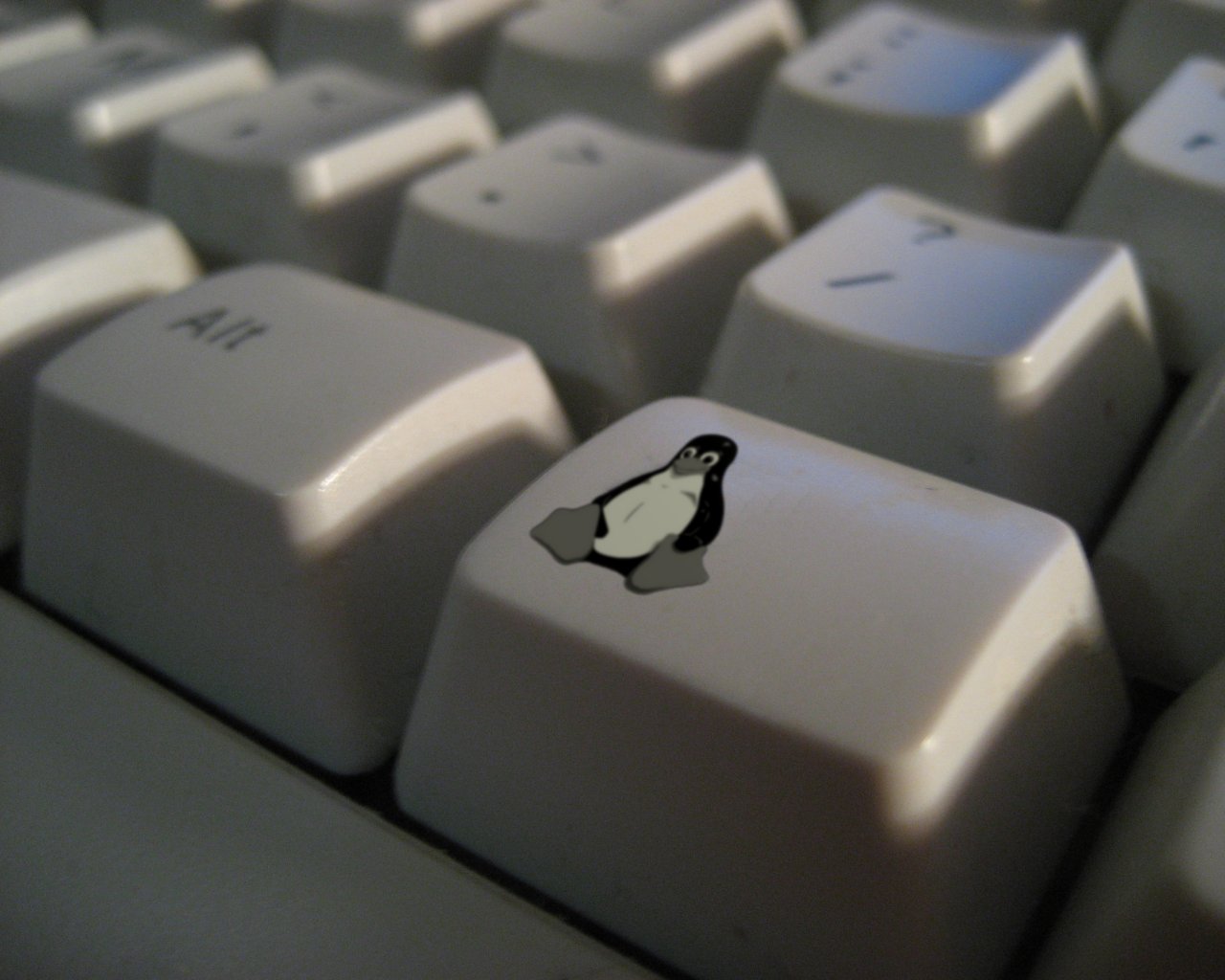 http://4.bp.blogspot.com/_UqUwVPikChs/R7b0_7igwxI/AAAAAAAACTY/3I0KXamHix8/s1600/OTHER-TuxKey_1280x1024.jpg