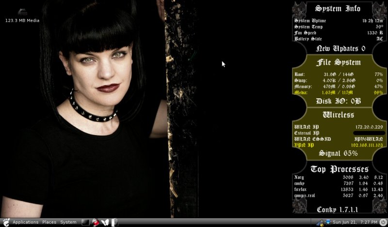 [goth-conky-vpnandmedia.jpg]