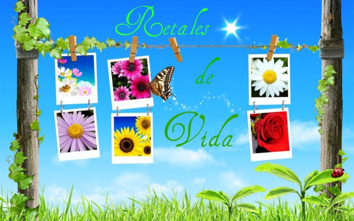Retales de vida