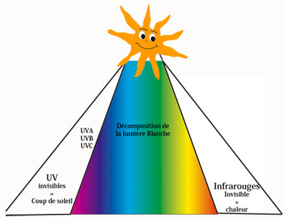 Uva Uvb