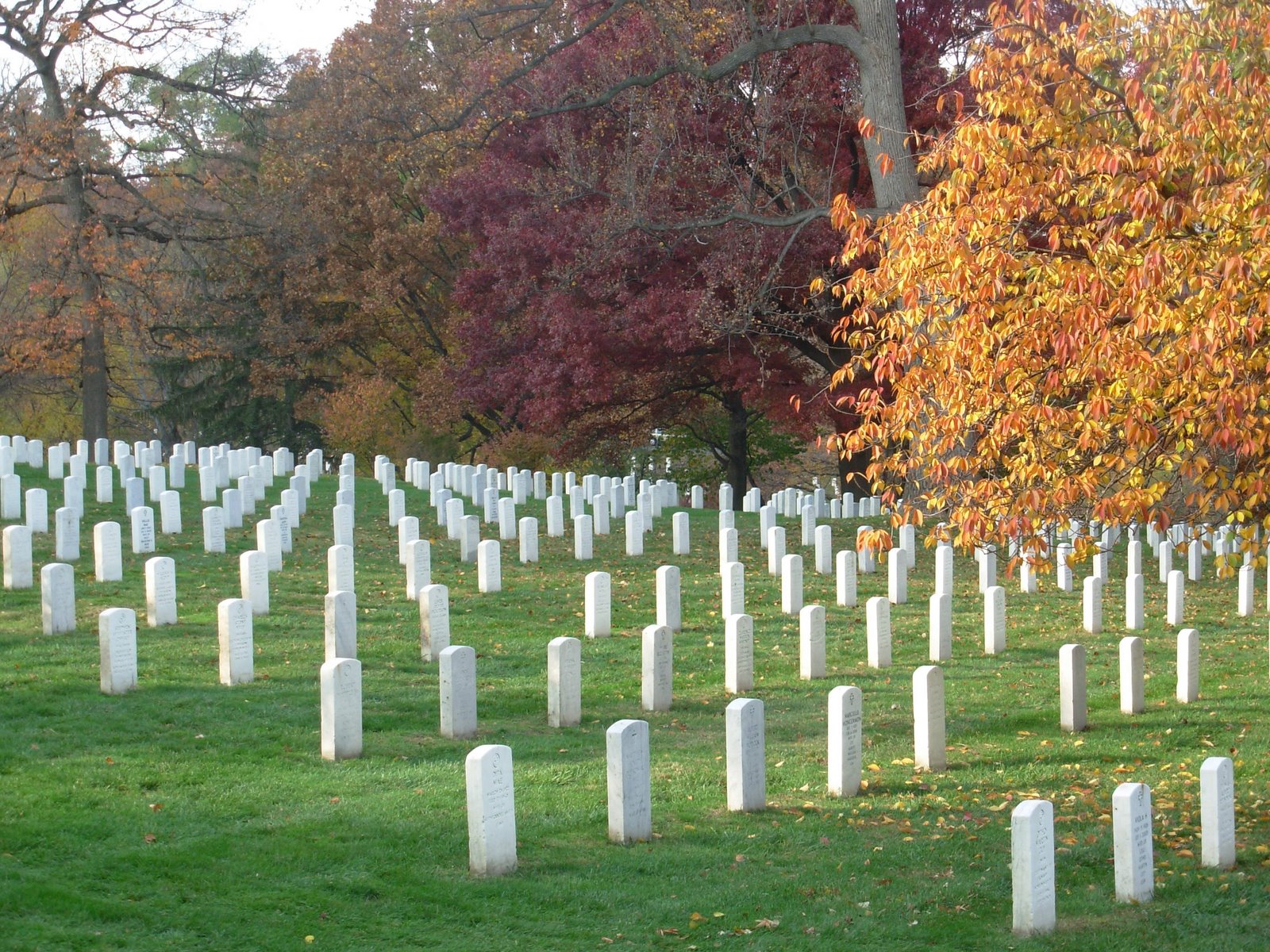 [DSCN0307.JPG]
