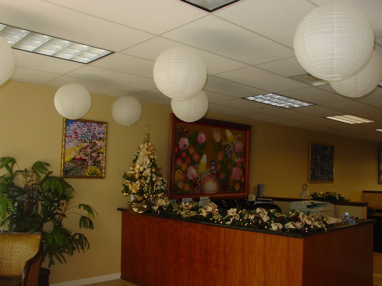 [DSC00103.JPG]