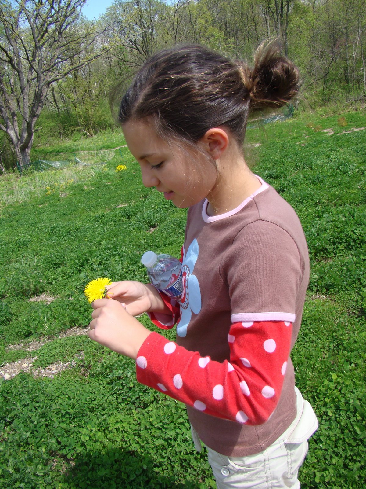 [DSC05631.JPG]